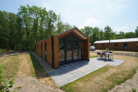 Forest Lodge ved EuroParcs Ruinen i Holland, omgivet af træer med terrasse og havemøbler foran.