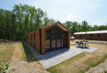 Forest Lodge ved EuroParcs Ruinen i Holland, omgivet af træer med terrasse og havemøbler foran.