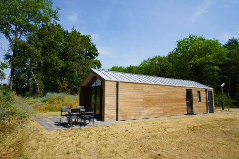Modernes Holzhaus, Forest Lodge bei EuroParcs Ruinen in den Niederlanden, mit Terrasse im Grünen.