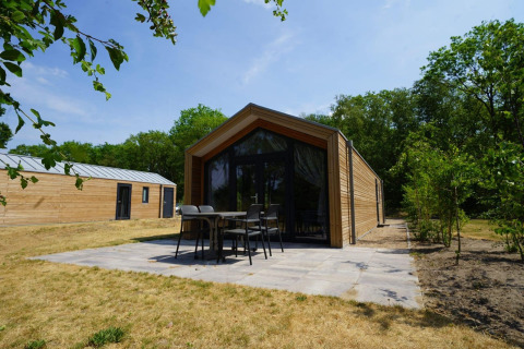 Forest Lodge en EuroParcs Ruinen, Países Bajos, modernas cabañas de madera con terraza en entorno natural.