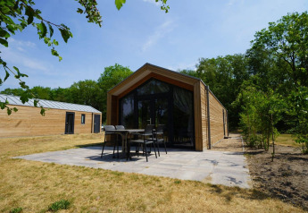 Forest Lodge bei EuroParcs Ruinen in den Niederlanden, moderne Holzhütte mit Terrasse in grüner Umgebung.