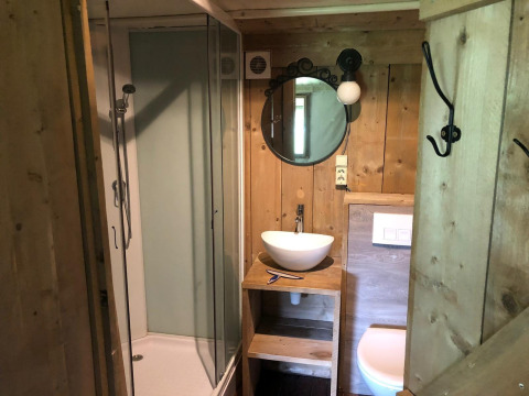 Bathroom at Four Season Lodge, EuroParcs Ruinen, Netherlands, with wood decor, sink, and shower.