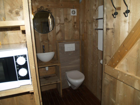 Badeværelse i træ med vask, spejl, toilet og mikrobølgeovn på Four Season Lodge ved EuroParcs Ruinen.