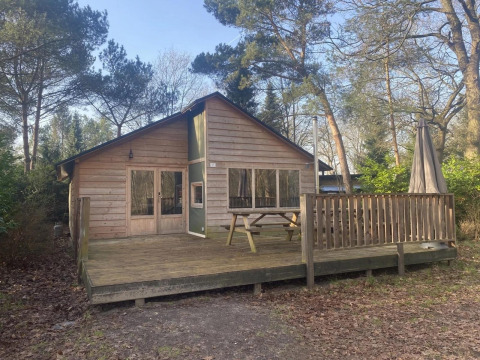 Glamping Family Lodge 10: Holzlodge mit Terrasse, Picknickbank und Sonnenschirm in bewaldeter Umgebung.