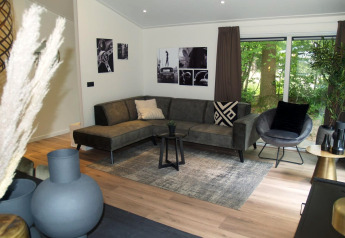 Modernes Wohnzimmer im Chalet Hackfort bei EuroParcs Ruinen, Niederlande, mit grauem Sofa und Naturblick.