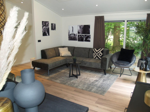 Salon moderne du chalet Hackfort à EuroParcs Ruinen, Pays-Bas, avec canapé gris et grandes fenêtres sur la nature.