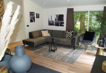 Moderne leefruimte in chalet Hackfort bij EuroParcs Ruinen met grijze sofa en zicht op groen buiten.