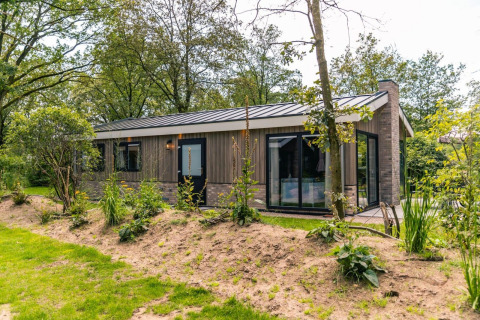 Buitenaanzicht van het Hackfort-chalet bij EuroParcs Ruinen in Nederland, omgeven door groene natuur.