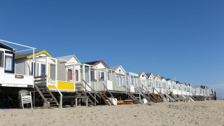 Row of beach houses with steps on a sandy shore under a clear sky, including Beach house 'Dishoek 60'.