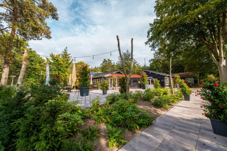 Terrasse einer Glamping-Unterkunft mit Pflanzen, Blumen, Sitzbereich und umgeben von grünem Wald.