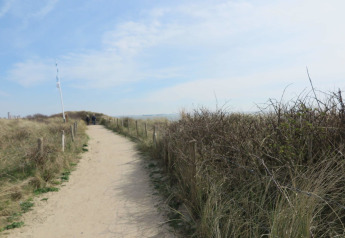 Sandweg zum Strand bei Beach house 'Dishoek 60' mit Dünen und Büschen in Zeeland, Niederlande.