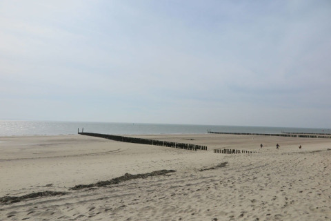 Vue paisible sur la plage près du Beach house 'Dishoek 60' à Zeeland, Pays-Bas, avec brise-lames en bois.