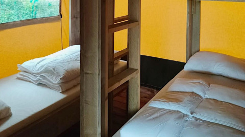 Zwei Einzelbetten in einem Safarizelt-Lodge bei Molengroet in den Niederlanden, mit Holzmöbeln.
