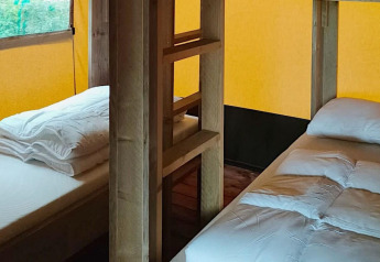 Zwei Einzelbetten in einem Safarizelt-Lodge bei Molengroet in den Niederlanden, mit Holzmöbeln.