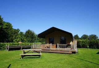 Safarizelt in Molengroet, Niederlande, mit hölzerner Terrasse und Sitzbank auf grüner Wiese.