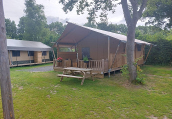 Glampingtent Sunshine presso Molengroet nei Paesi Bassi con veranda, tavolo da picnic e zona verde.