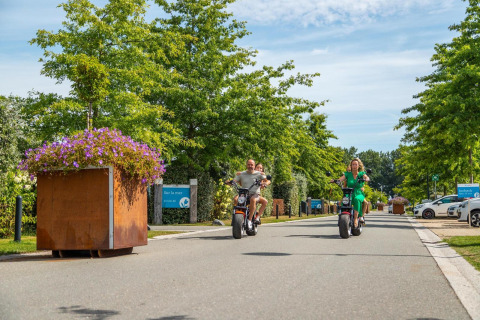 Dos adultos y dos niños pasean en scooters eléctricos por una avenida arbolada en un sitio de glamping.