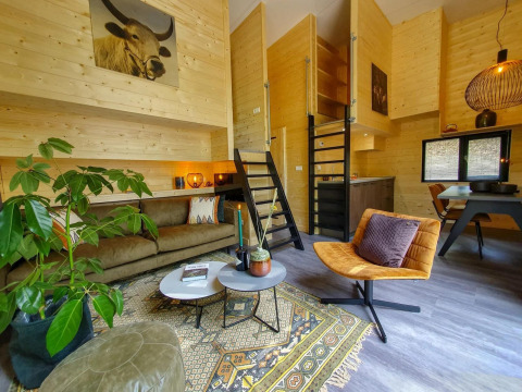 Sala de estar de tiny house moderna con paredes de madera, muebles retro y plantas en Bad Hulckesteijn, Países Bajos.
