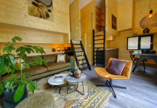 Sala de estar de tiny house moderna con paredes de madera, muebles retro y plantas en Bad Hulckesteijn, Países Bajos.
