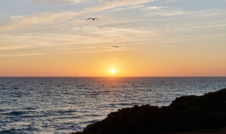 Atardecer sobre el mar cerca de Conil de la Frontera, Andalucía, España, con tres aves volando en el cielo.