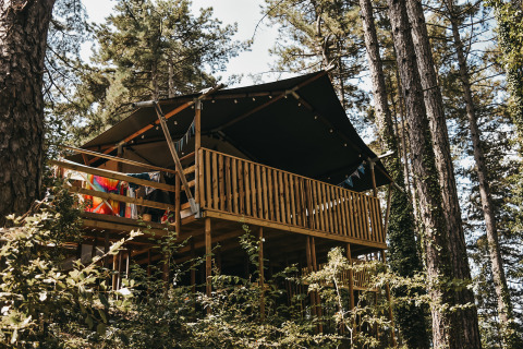 Lodge de tienda safari con instalaciones sanitarias, rodeado de árboles altos y vegetación en el bosque.
