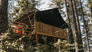 Lodge de tienda safari con instalaciones sanitarias, rodeado de árboles altos y vegetación en el bosque.
