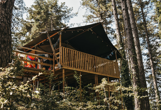 Safari-tentlodge met sanitaire voorzieningen, omgeven door hoge bomen en groen in een bosrijke omgeving.