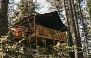 Lodge tente safari avec sanitaires, entouré de grands arbres et verdure dans un cadre forestier.