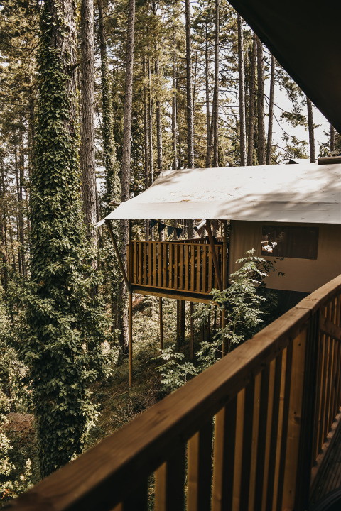 Blick auf ein Safarizelt mit Balkon und Sanitäranlagen im Wald bei Camping Luna del Monte, Italien.