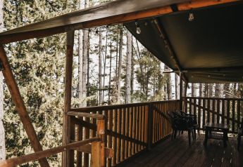 Terraza de madera con techo de lona negra, sillas de plástico y mesa entre altos pinos en Italia.