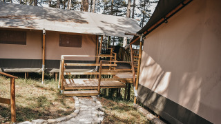 Safari-telt med træterrasse og gangsti ved Camping Luna del Monte, omgivet af høje træer i Italien.