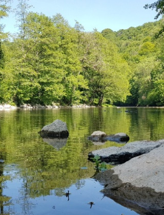 Río con piedras y árboles verdes cerca de Vresse-sur-Semois, Namur, Bélgica, en un día soleado y claro.
