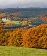 Paisaje otoñal cerca de Vresse-sur-Semois, Namur, Bélgica, con árboles coloridos y un castillo lejano.