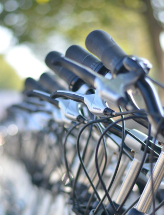Fila de manillares de bicicletas en un parque vacacional que ofrece alojamiento de glamping al aire libre.