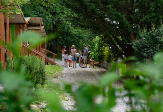 Familia con niños y perro junto a cabañas de madera en Camping Etxarri, Navarra, España, rodeados de naturaleza.