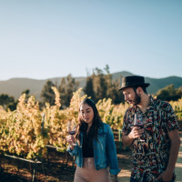 Pareja paseando con copas de vino por un viñedo soleado en un parque vacacional de glamping.