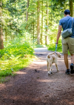 Un hombre pasea con su perro por un sendero forestal en un parque vacacional con alojamientos glamping.