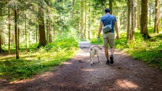 Un hombre pasea con su perro por un sendero forestal en un parque vacacional con alojamientos glamping.