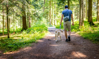 Un hombre pasea con su perro por un sendero forestal en un parque vacacional con alojamientos glamping.