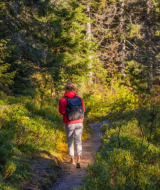 Person på skovsti i feriepark med glamping, omgivet af grønne træer og sollys i naturen.