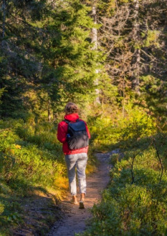 Persona che cammina su un sentiero nel bosco in un parco vacanze con glamping, circondata dal verde.