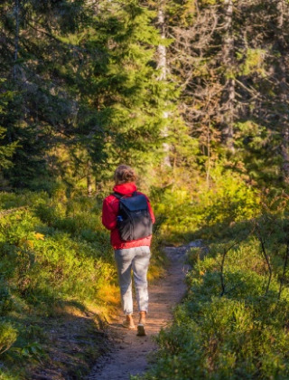 Personne marchant sur un sentier forestier dans un parc de vacances avec glamping, entourée de verdure.