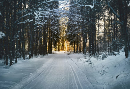 Chemin enneigé bordé d’arbres dans une forêt au coucher du soleil dans un parc de vacances glamping.