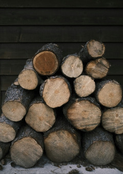 Una pila de troncos cortados junto a una pared de madera en un parque vacacional con glamping.