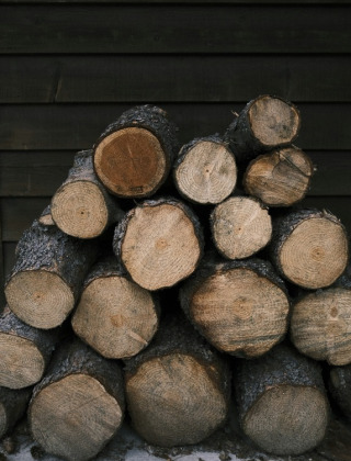 Des bûches empilées devant un mur en bois sombre dans un parc de vacances proposant du glamping.