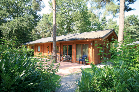 Knusse houten lodge in het bos met fietsen en stoelen op het terras, omringd door groene planten en bomen.