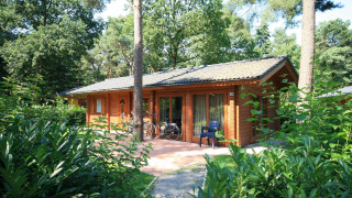 Gemütliche Holzlodge im Wald mit Fahrrädern auf der Terrasse, umgeben von grünen Bäumen und Büschen.