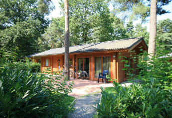 Accogliente bungalow in legno immerso nel verde e circondato da alberi alti, biciclette e sedie sul patio.