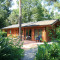 Knusse houten lodge in het bos met fietsen en stoelen op het terras, omringd door groene planten en bomen.