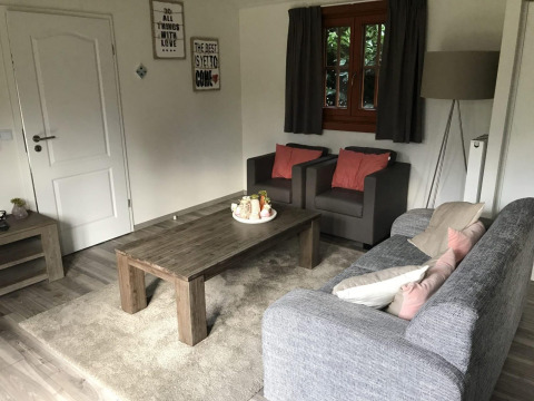 Wohnzimmer in der Boekhorst 4 Lodge in De Achterhoek, Niederlande, mit grauem Sofa und gemütlicher Deko.